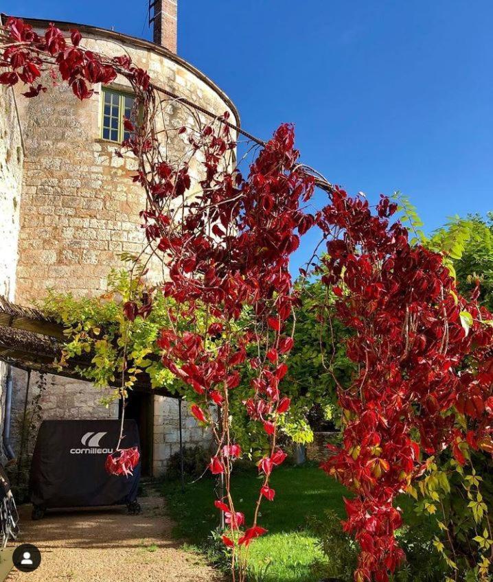 Cote-Serein La Privilege De La Tour Madame Noyers-sur-Serein Dış mekan fotoğraf